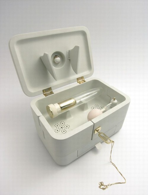 102_2745-blog-dildo-box