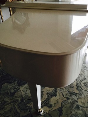 Piano de Eike Batista está na casa de um dos vizinhos do juiz Flávio Roberto de Souza (Foto: Reprodução/Instagram de Flavia Sampaio)