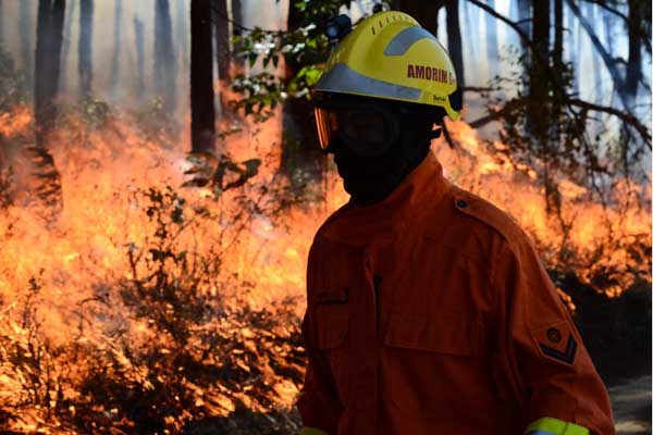 23/08/2014. Crédito: Marcelo Ferreira/CB/D.A Press. Brasil. Brasília - DF. Bombeiro trabalha para controlar as chamas durante incêndio na Floresta Nacional, em Taguatinga.