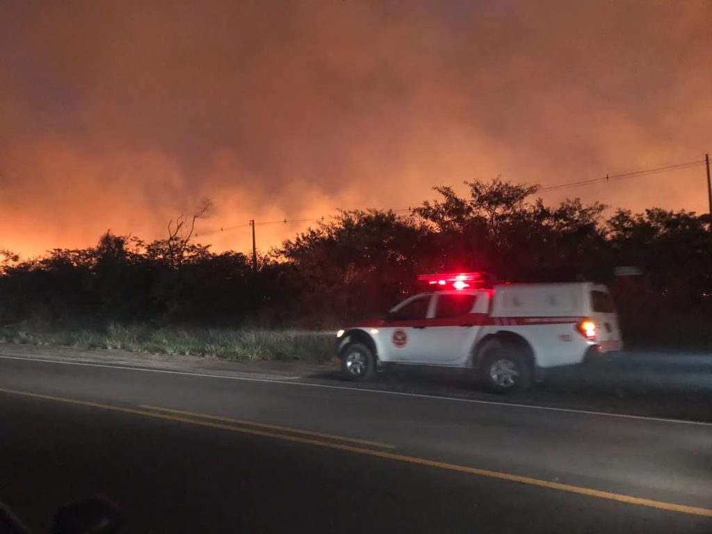 WhatsApp-Image-2020-12-02-at-19.37.38-1-1024x768 FOTOS e VÍDEOS: Desmanche de carros provoca grande incêndio em mata no Vale do Ceará-Mirim