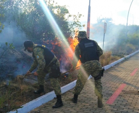 33884 Guarda Municipal debela incêndio em área do Parque da Cidade do Natal