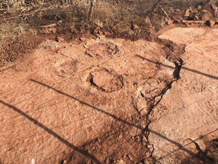 Cientistas da UFRN encontram pegadas de dinossauro de 125 milhões de anos