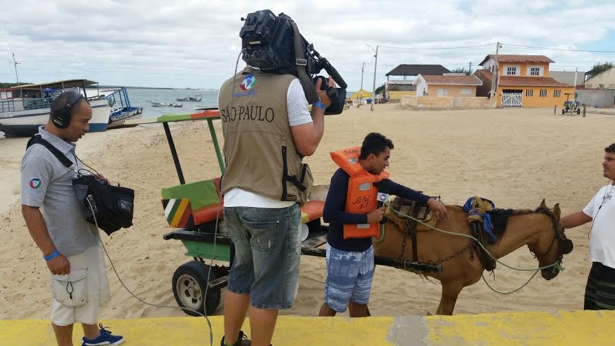 Galinhos 9