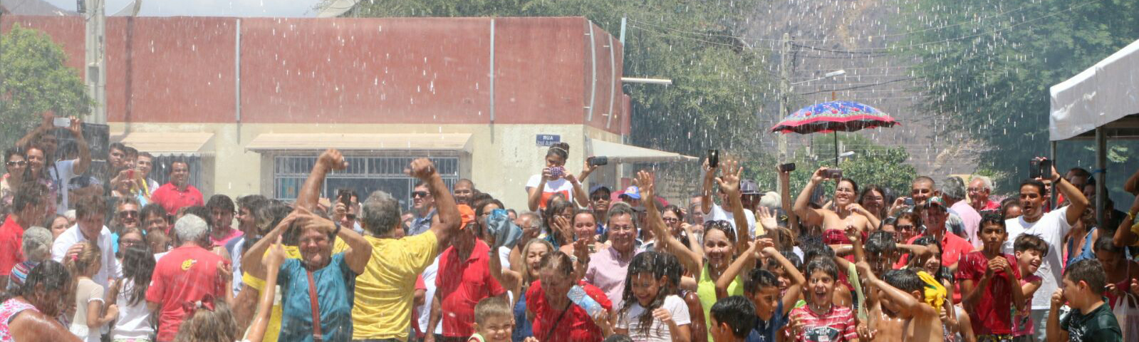 IMG000000000100161