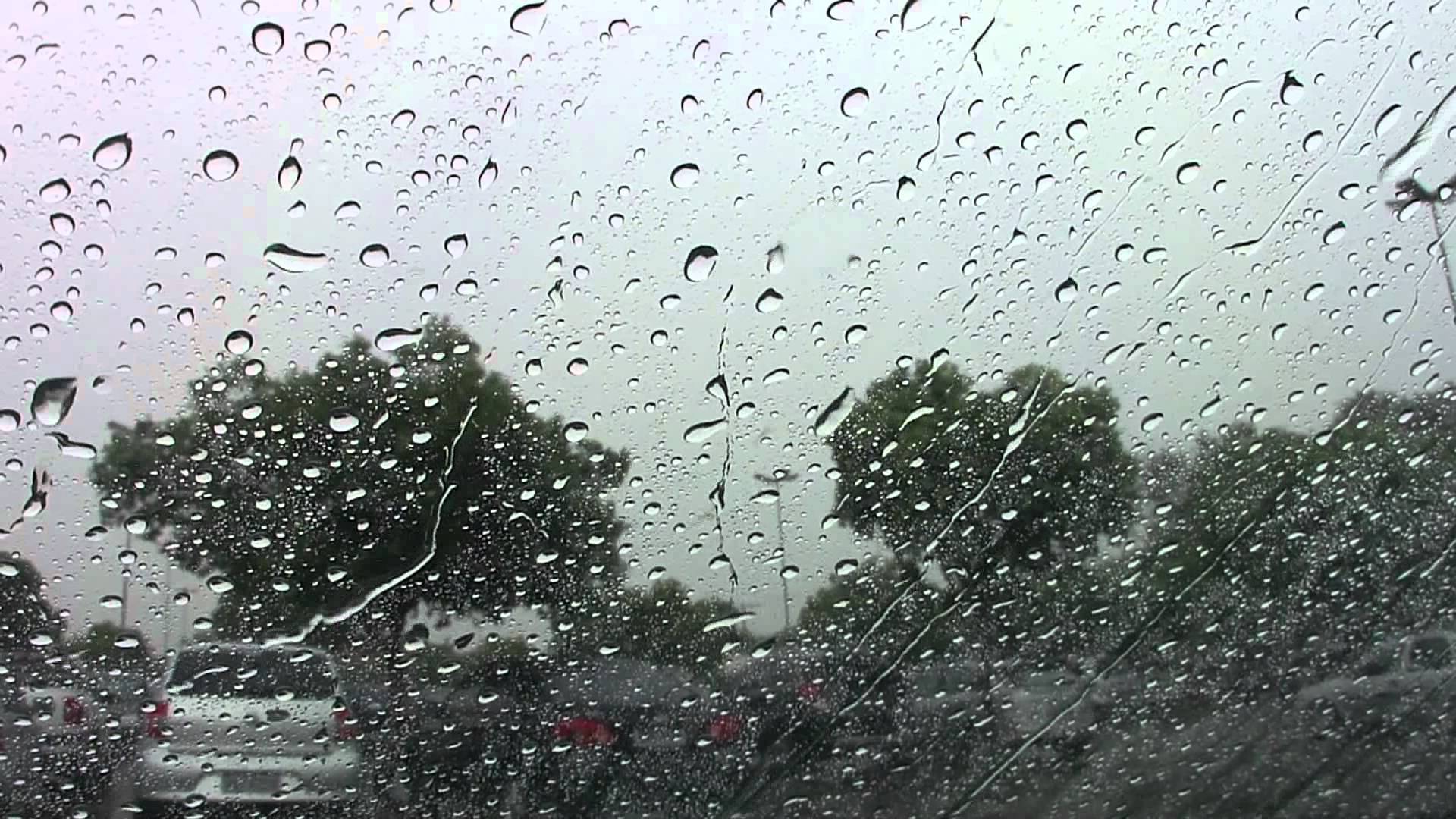 IMG000000000103052