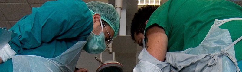 IMG000000000126366