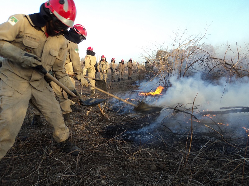 InCêndio Florestal