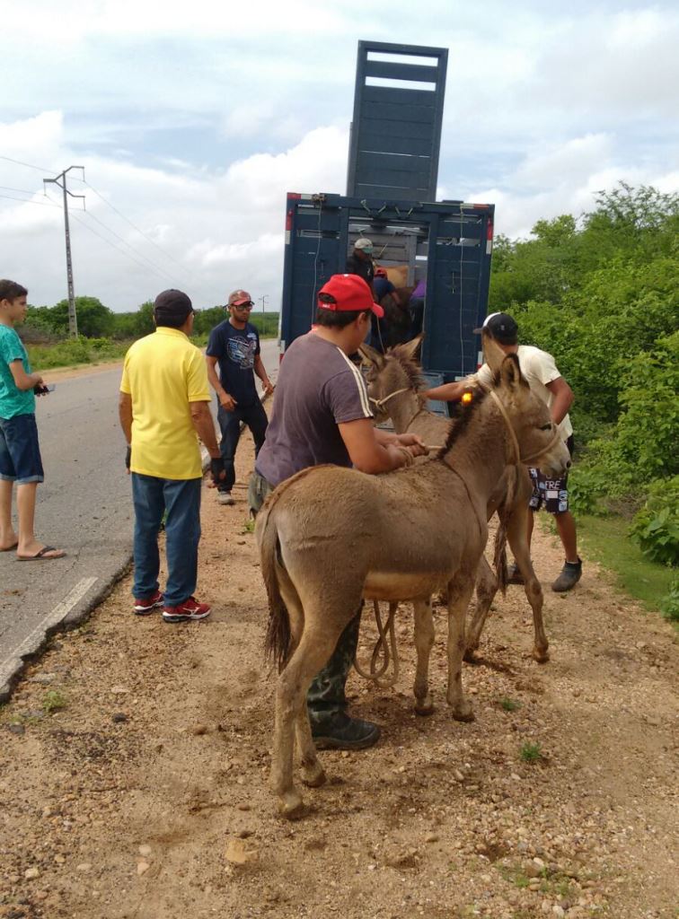 Operação