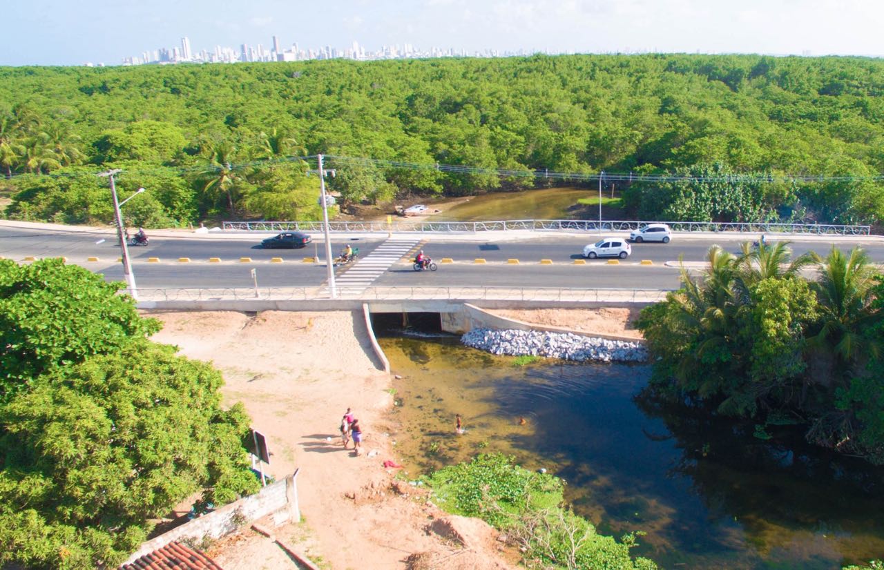 Ponte sobre o Rio Doce - ZN - Foto Dinarte Mariz (5)