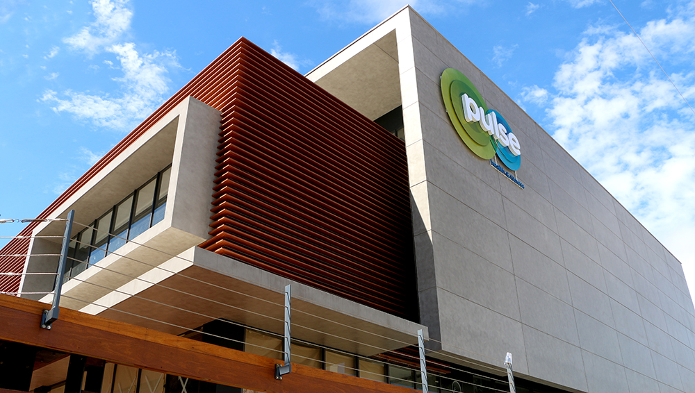Pulse Aacademia