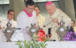 Santos-Oleos_site-300x190