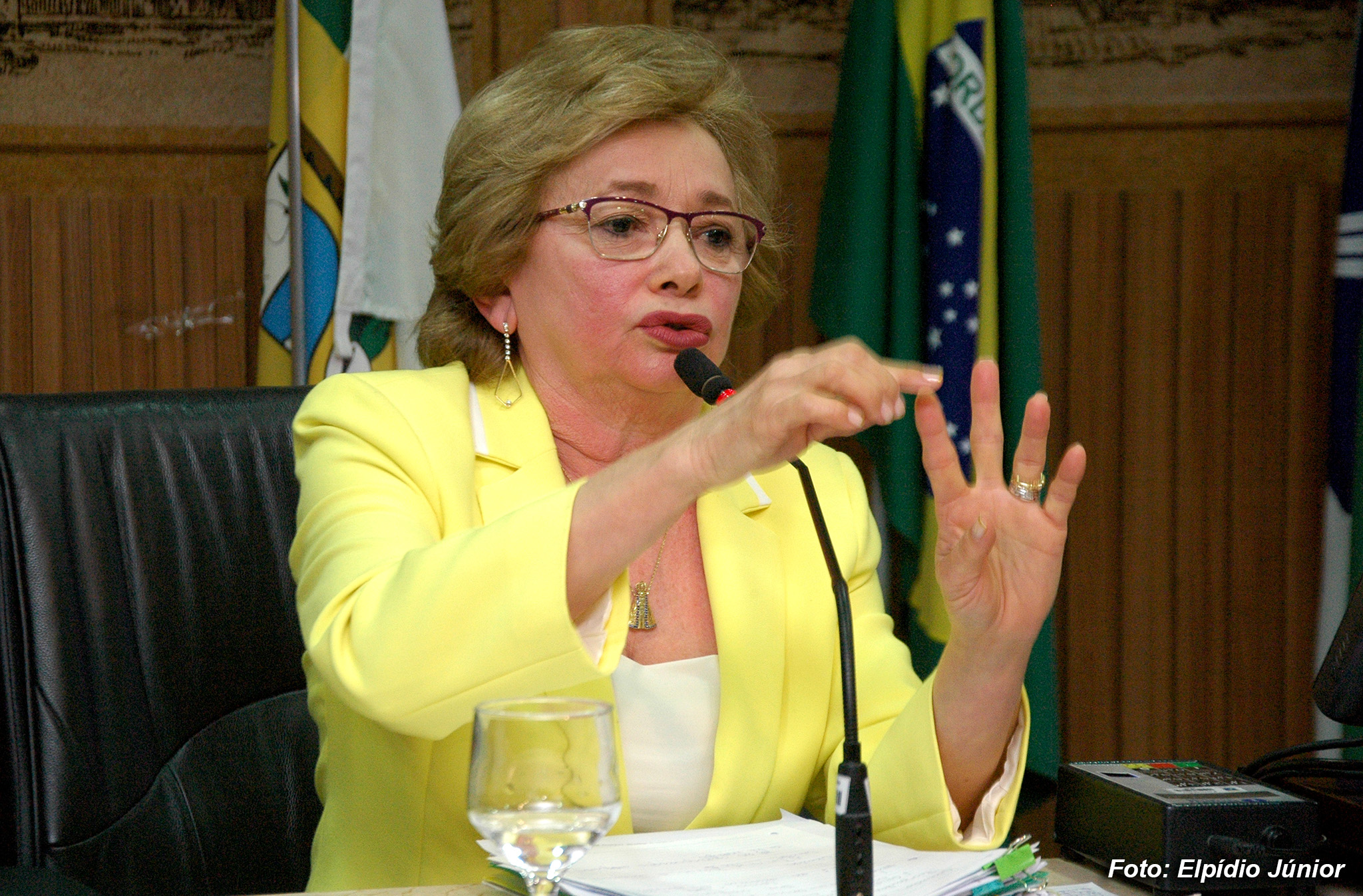 Sec. STTU Elequicina Santos - Foto ELPÍDIO JÚNIOR (1)