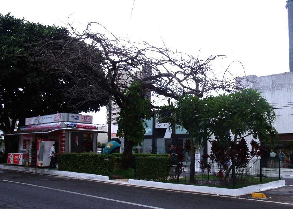 Tota