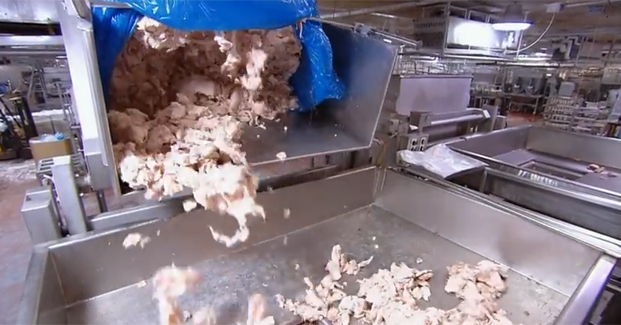 VÍDEO: Como é feita a salsicha, e o que realmente há dentro dela - Blog do BG