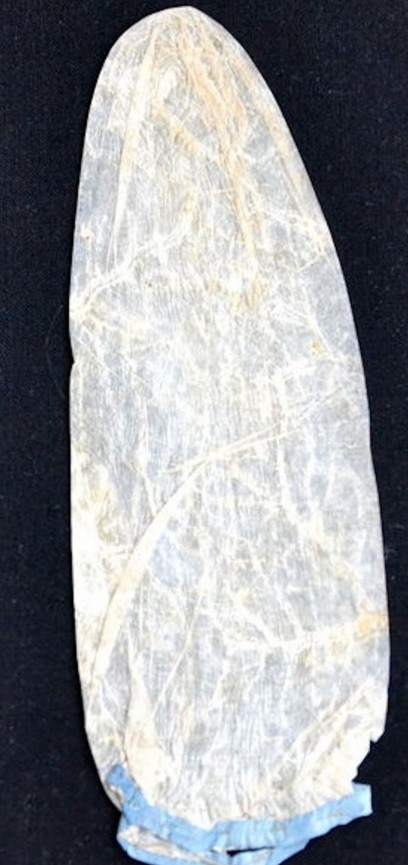 blog_condom