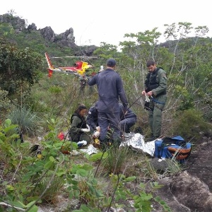 bombeiros-de-minas-gerais-atendem-vitima-de-ataque-de-tamandua-1452089262919_300x300