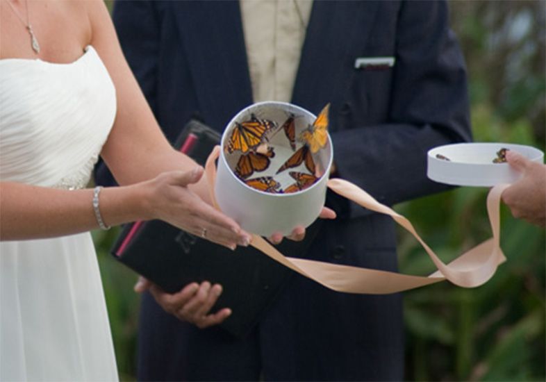 borboleta-em-cerimonias-de-casamento_01