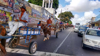carroça protesto 2
