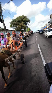 carroça protesto