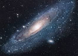 cosmos