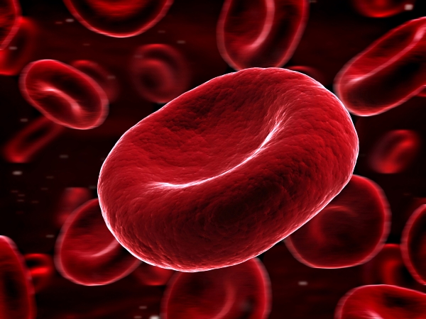 human blood cell
