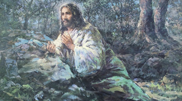 jesus-mudar-aparecencia-iamfree007-shutterstock.com_