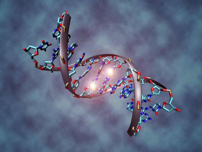 metilacao-do-DNA_01