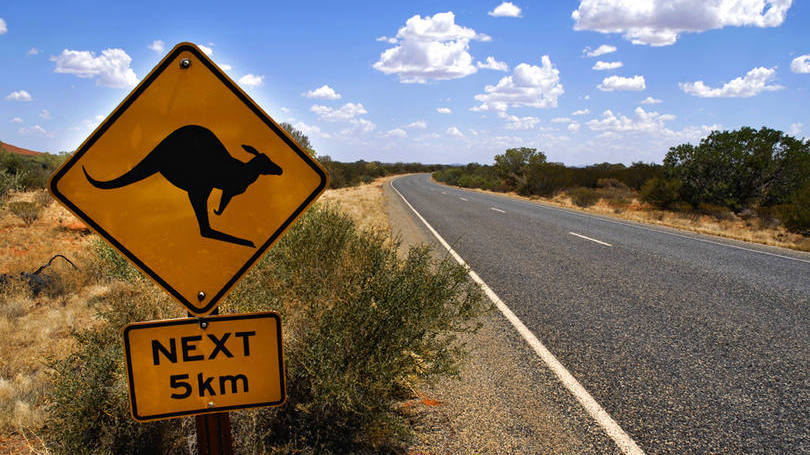 size_810_16_9_placa-canguru-australia