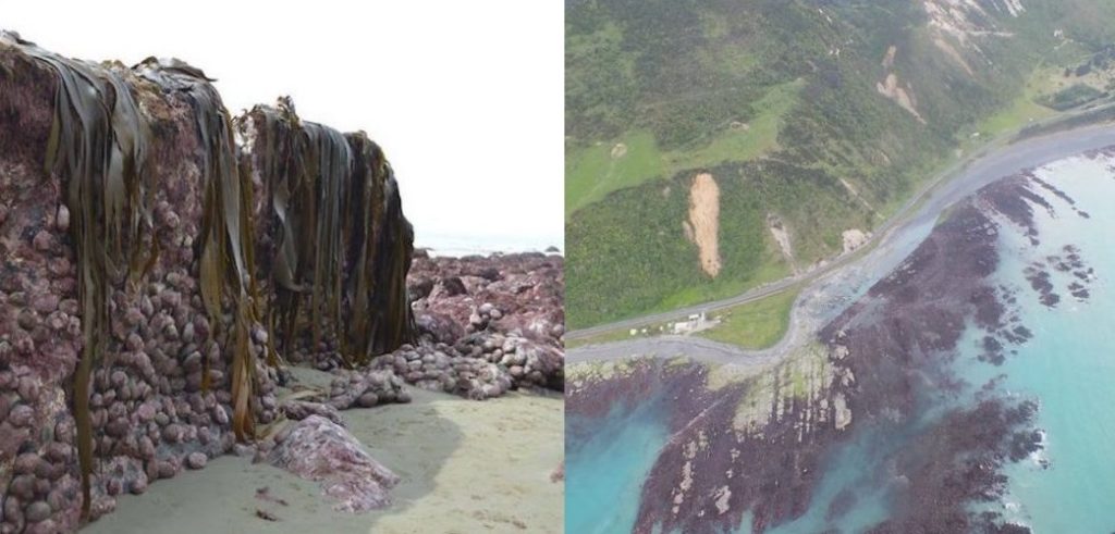 terremoto-nova-zelandia-1043x500