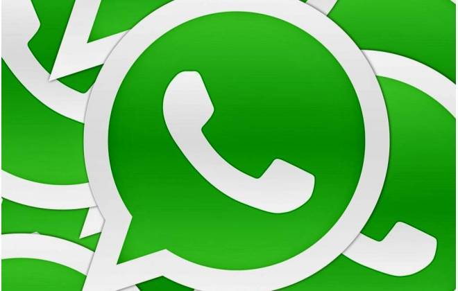 Como converter GIFs em figurinhas para o WhatsApp - Jornal Tribuna