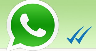 whatsapp-blue-tick-310x165